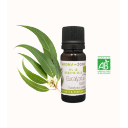 Huile essentielle Eucalyptus radié BIO
