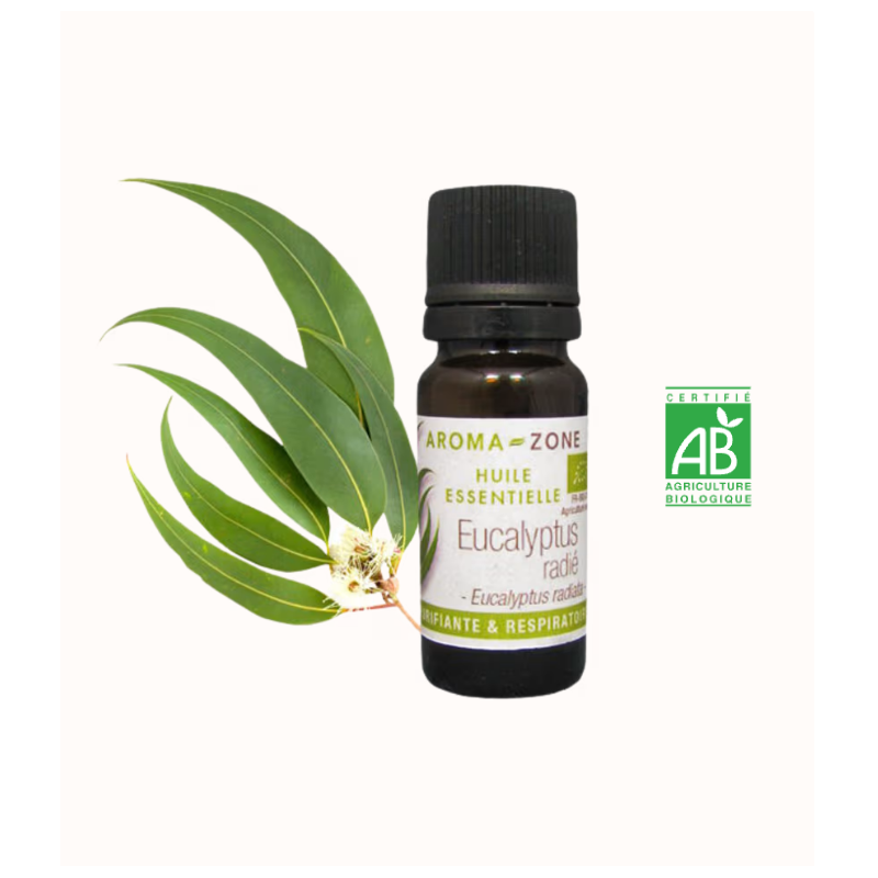 Huile essentielle Eucalyptus radié BIO