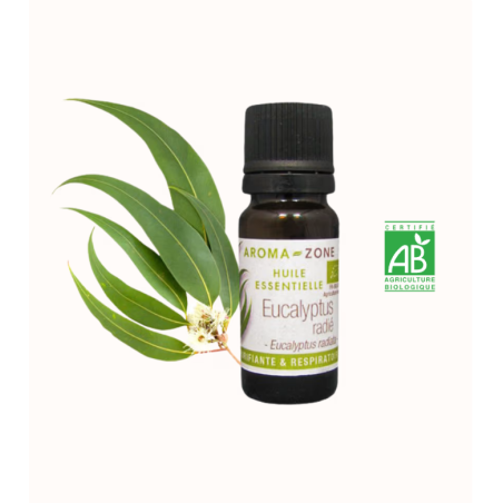 Huile essentielle Eucalyptus radié BIO