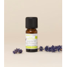 Huile essentielle lavande 10ml